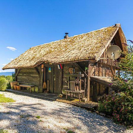 Vineyard Cottage Skatlar Otočec Extérieur photo