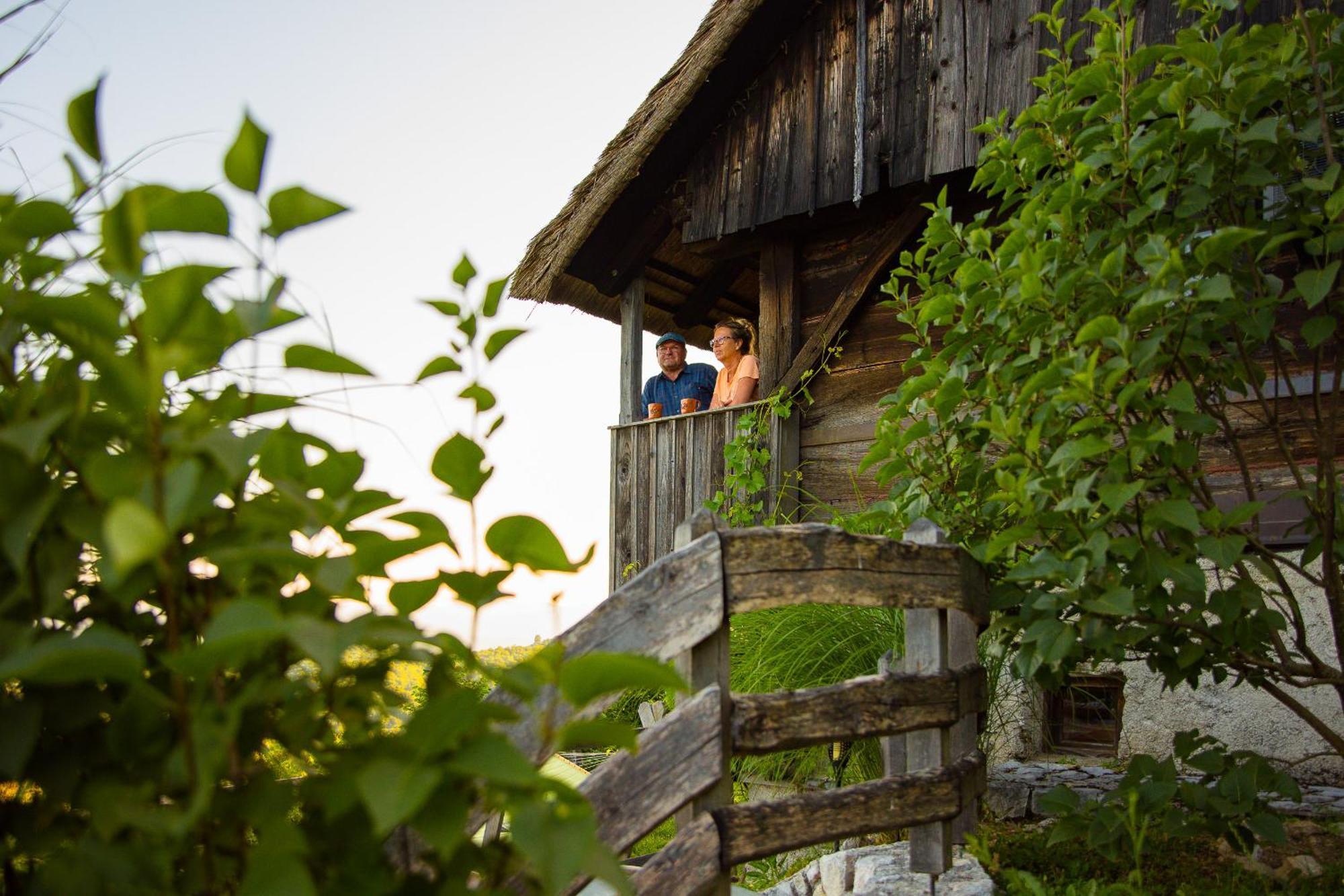 Vineyard Cottage Skatlar Otočec Extérieur photo